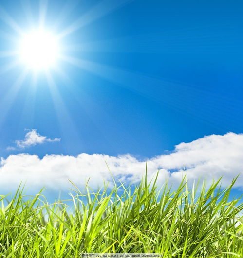 用心交流，換位思考 以完美溝通推動生態環境材料銷售，共筑美好生活